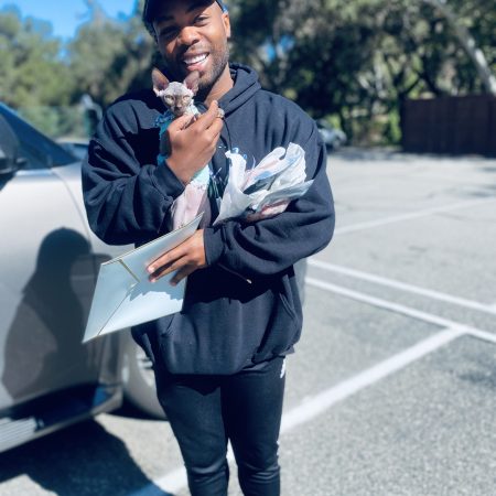 Todrick Hall picks up his new sphynx kitten
