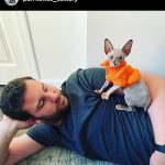 Purrxotics customer with adopted Sphynx kitten