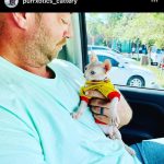 Purrxotics customer with adopted Sphynx kitten
