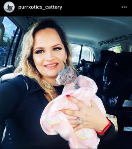 Ana Gomez, owner of Purrxotics, holding a Sphynx kitten